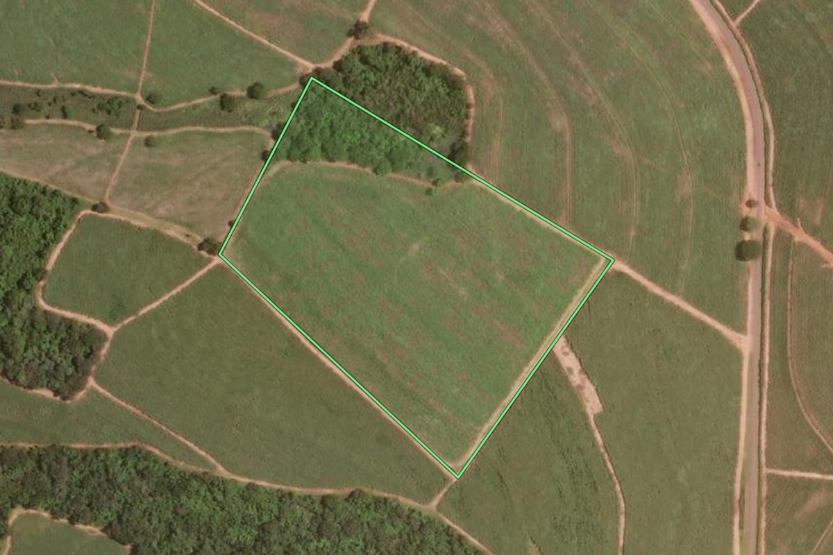 Imagem de satélite do imóvel rural em Taiúva (SP), com o contorno declarado no CAR desenhado por cima.