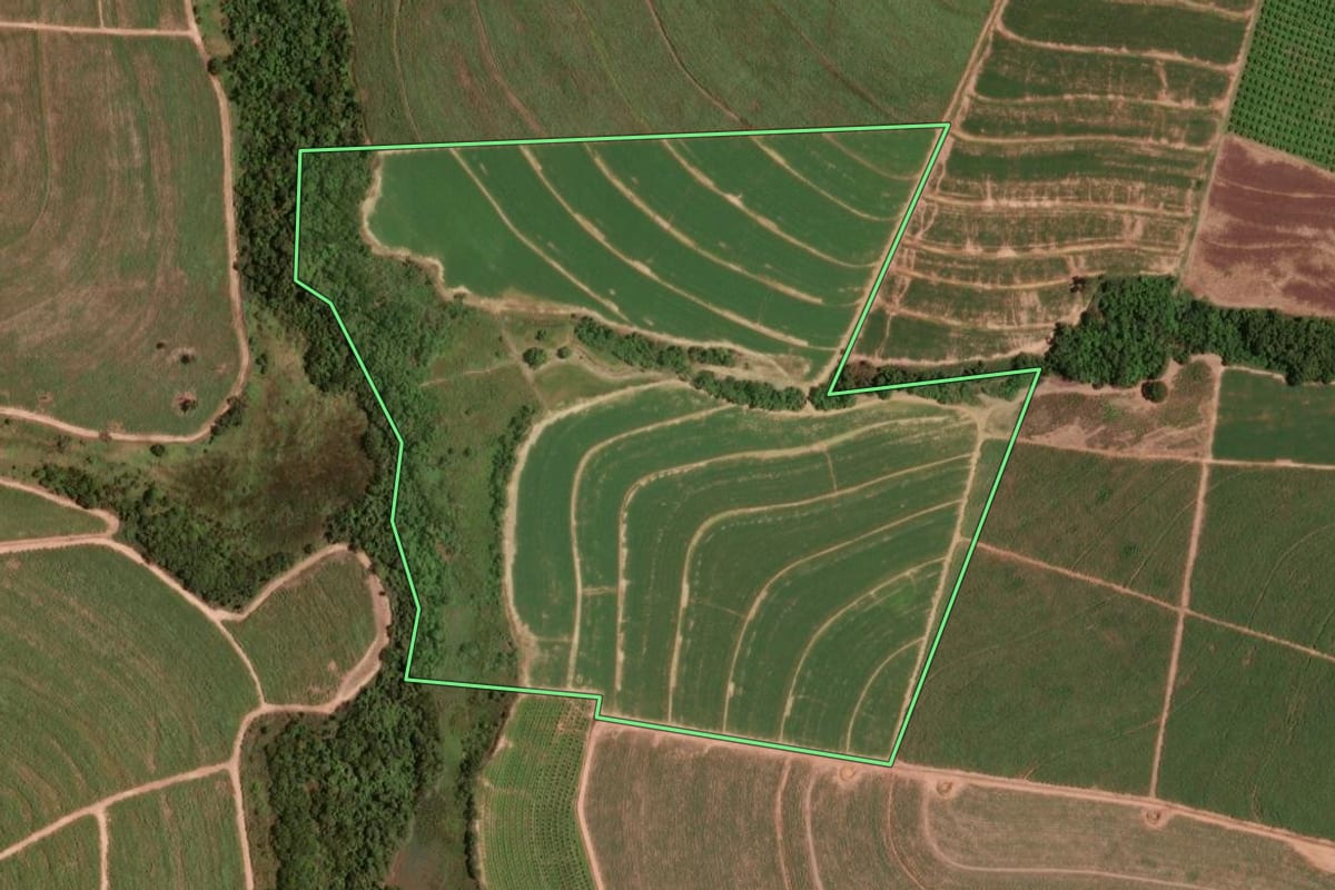 Imagem de satélite do imóvel rural em Taiúva (SP), com o contorno declarado no CAR desenhado por cima.