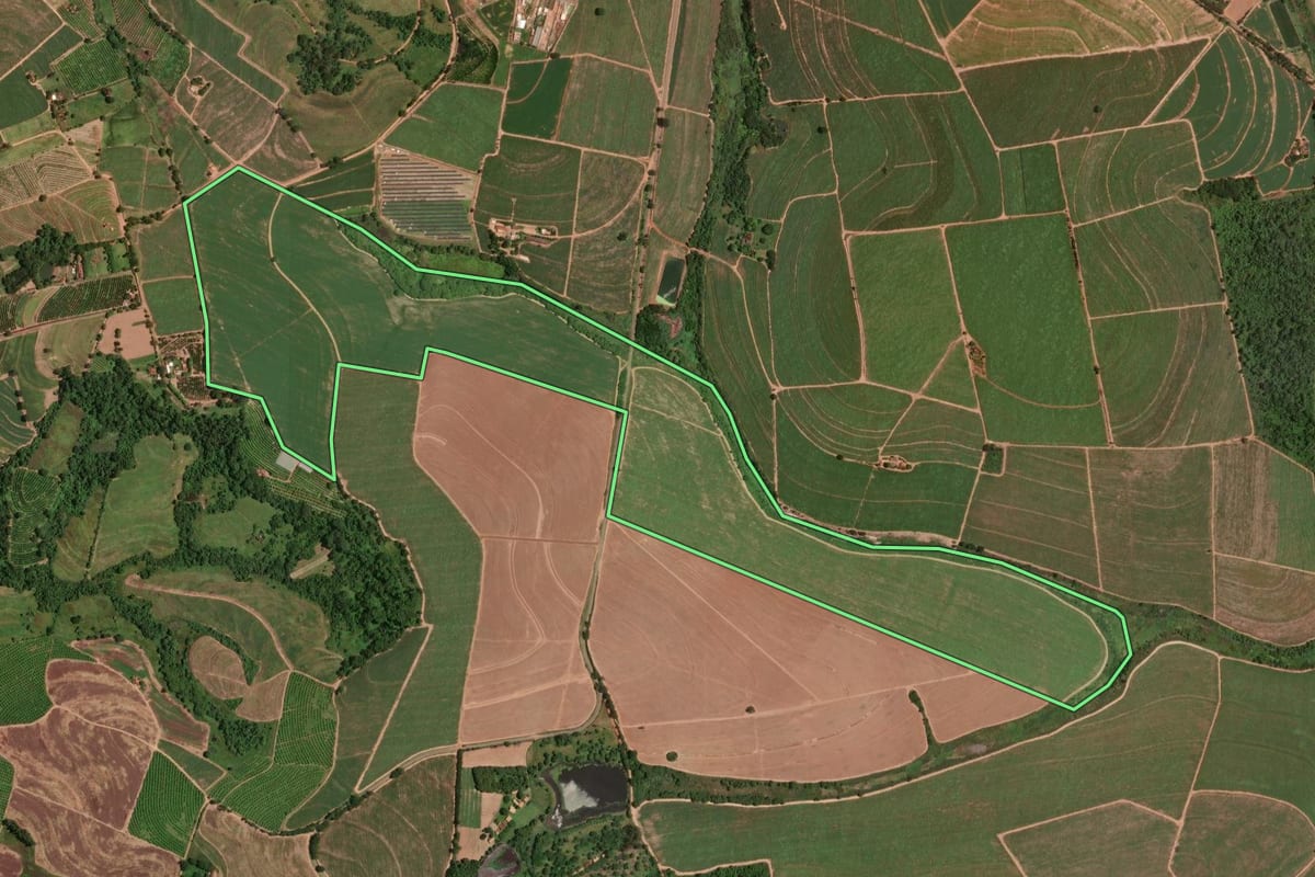Imagem de satélite do imóvel rural em Taiúva (SP), com o contorno declarado no CAR desenhado por cima.
