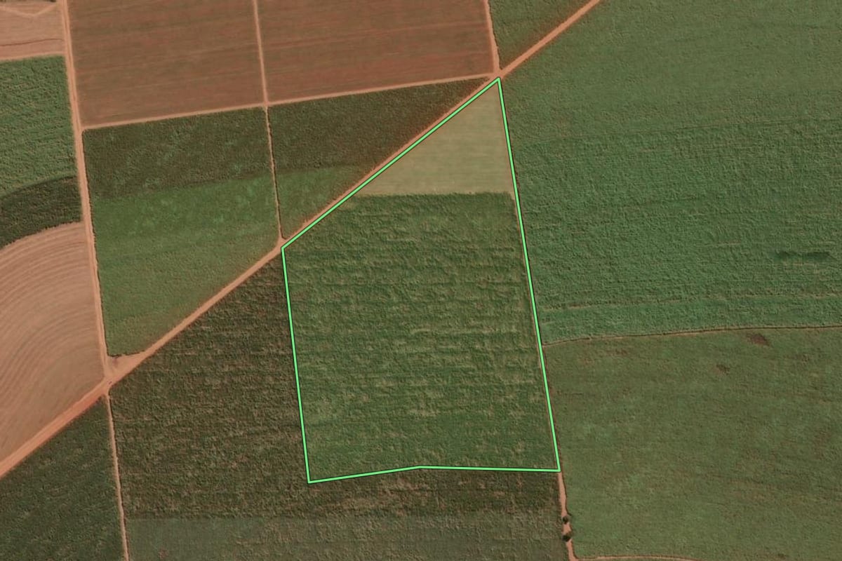 Imagem de satélite do imóvel rural em Taiúva (SP), com o contorno declarado no CAR desenhado por cima.
