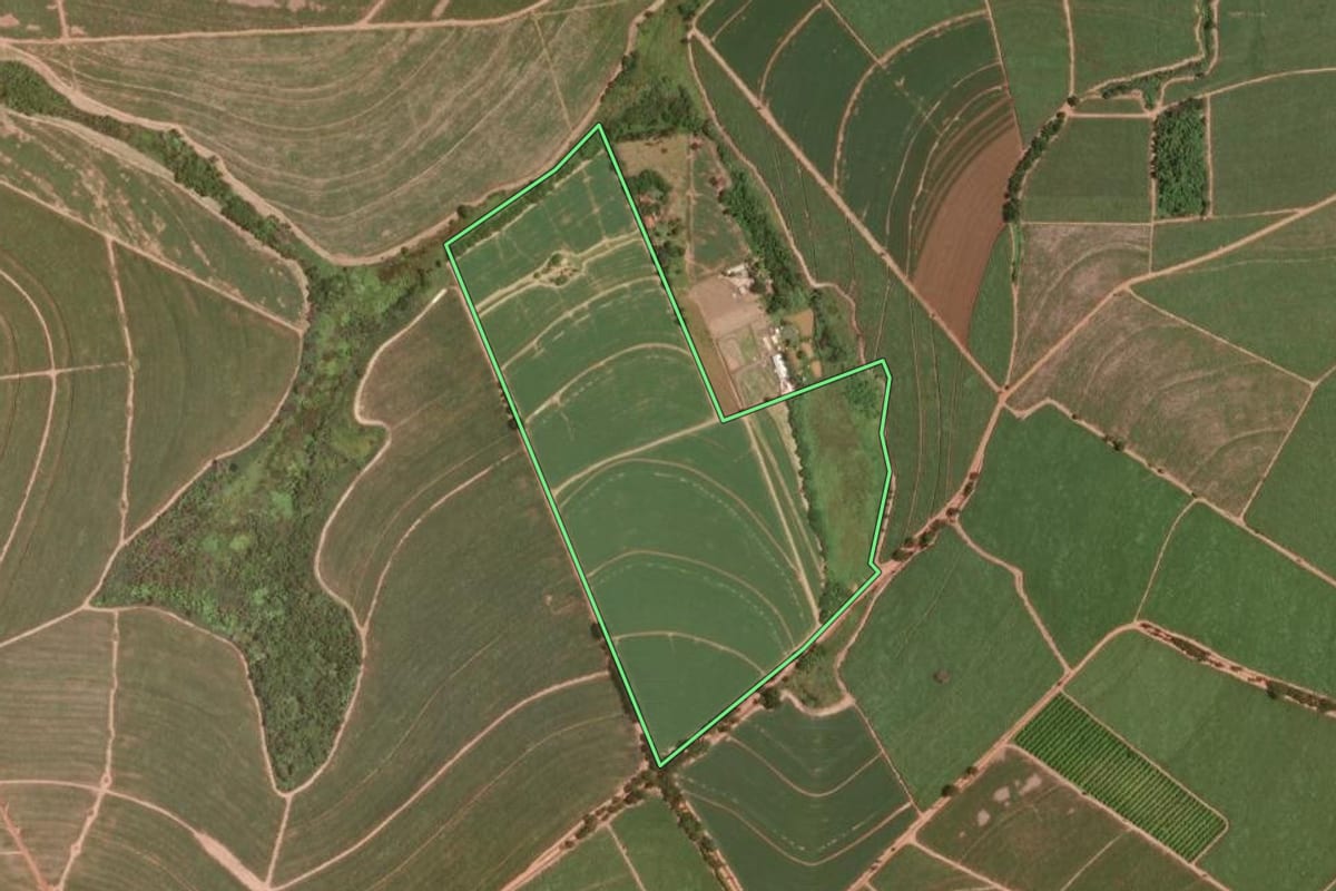 Imagem de satélite do imóvel rural em Taiúva (SP), com o contorno declarado no CAR desenhado por cima.