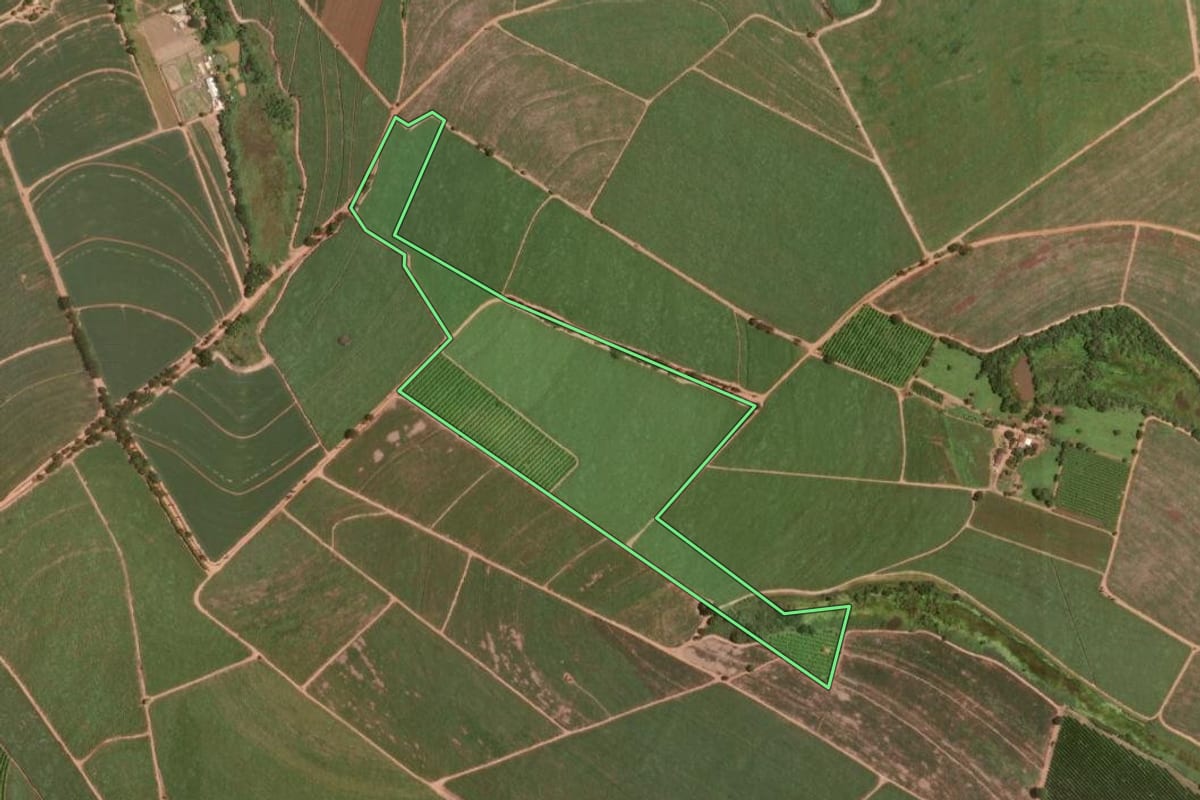 Imagem de satélite do imóvel rural em Taiúva (SP), com o contorno declarado no CAR desenhado por cima.