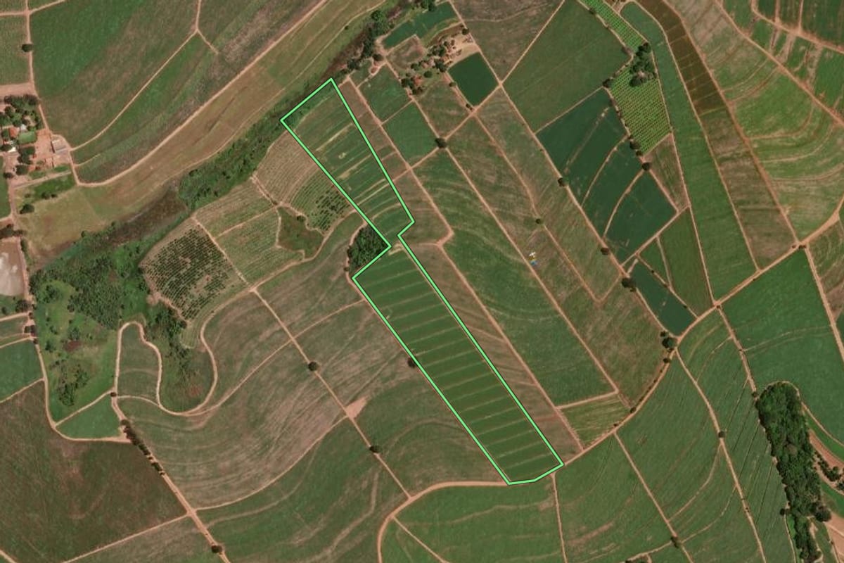 Imagem de satélite do imóvel rural em Taiúva (SP), com o contorno declarado no CAR desenhado por cima.