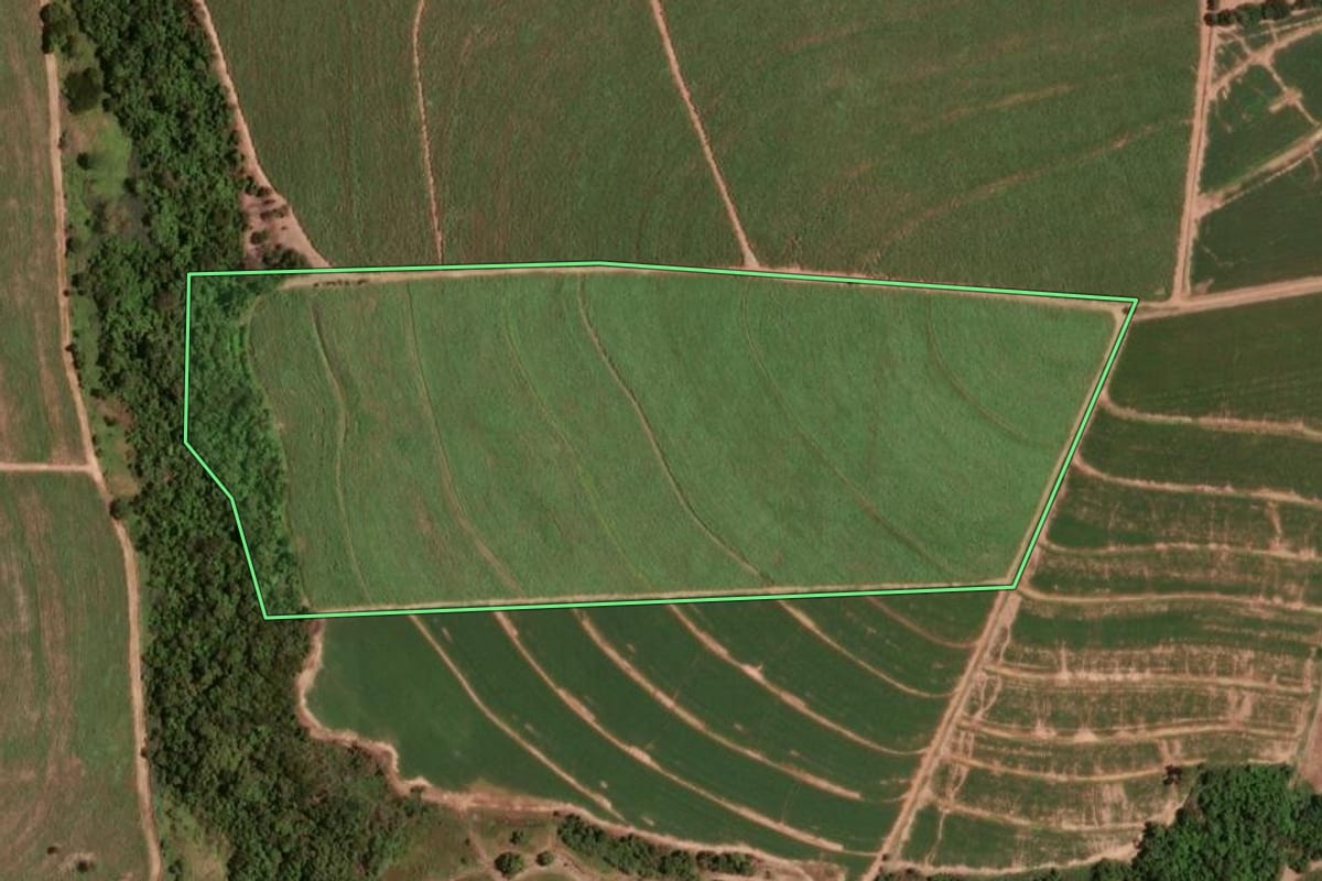 Imagem de satélite do imóvel rural em Taiúva (SP), com o contorno declarado no CAR desenhado por cima.