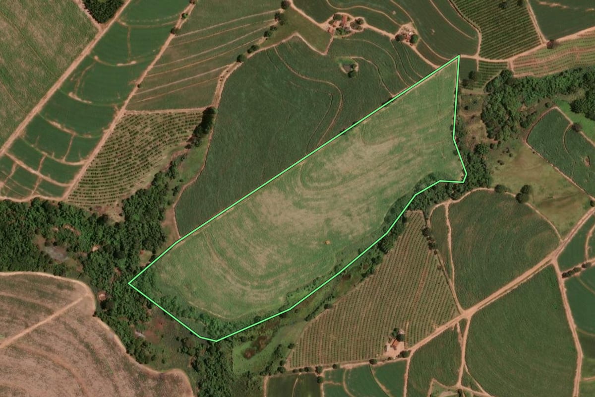 Imagem de satélite do imóvel rural em Taiúva (SP), com o contorno declarado no CAR desenhado por cima.