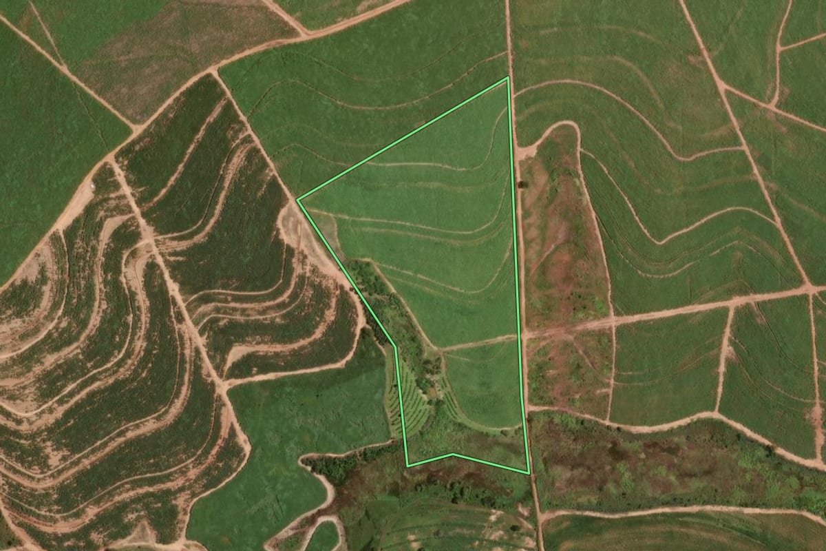 Imagem de satélite do imóvel rural em Taiúva (SP), com o contorno declarado no CAR desenhado por cima.