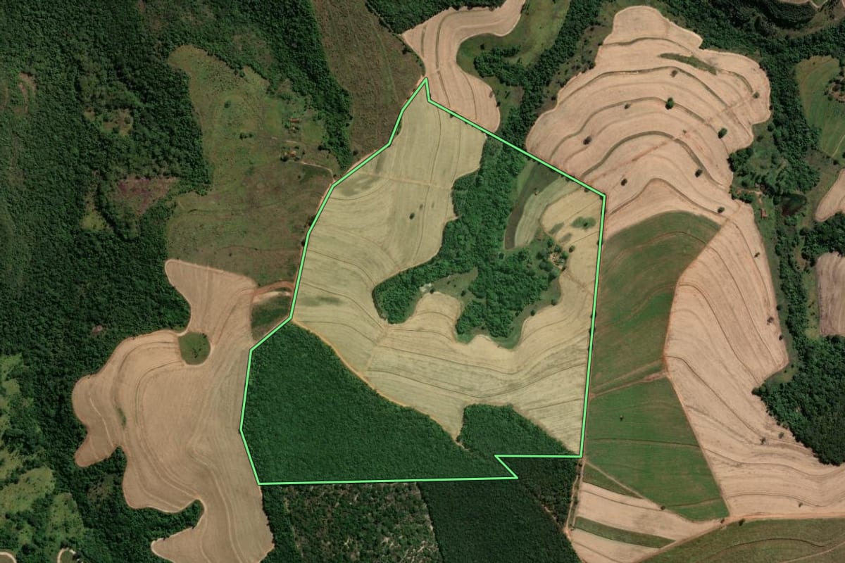 Imagem de satélite do imóvel rural em Tambaú (SP), com o contorno declarado no CAR desenhado por cima.