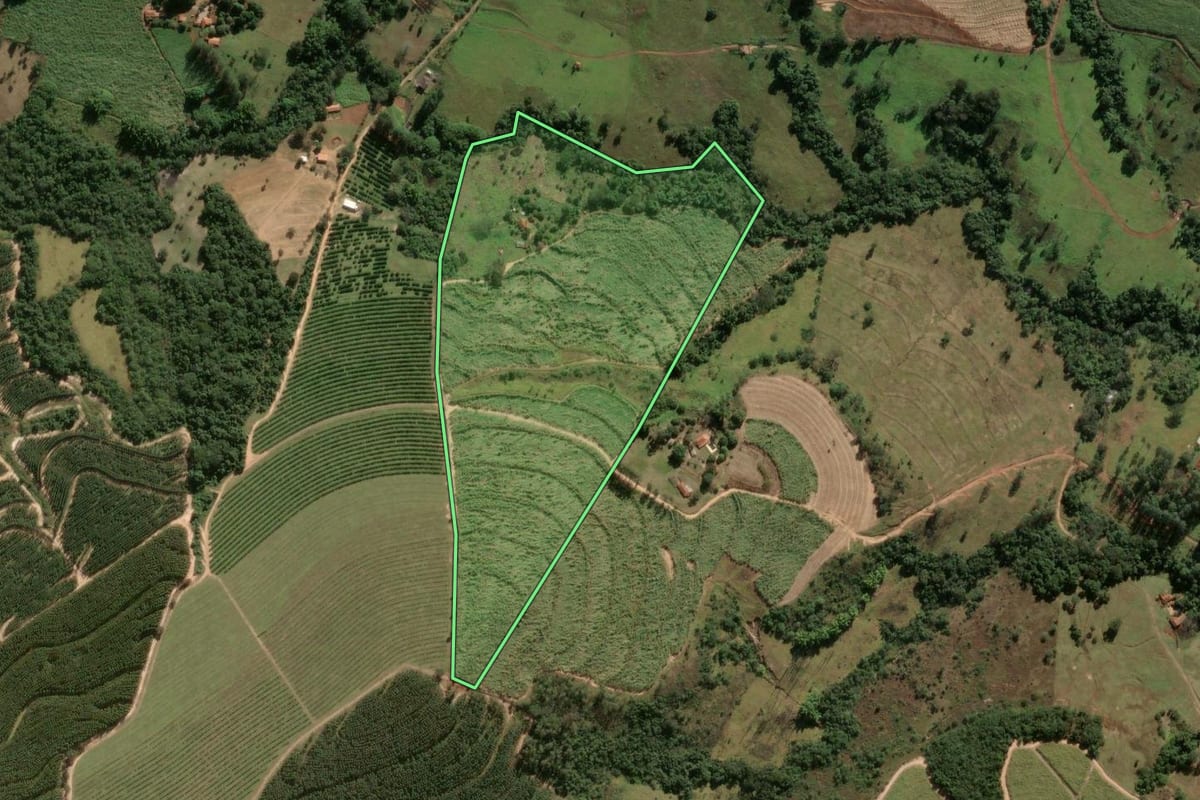 Imagem de satélite do imóvel rural em Tambaú (SP), com o contorno declarado no CAR desenhado por cima.