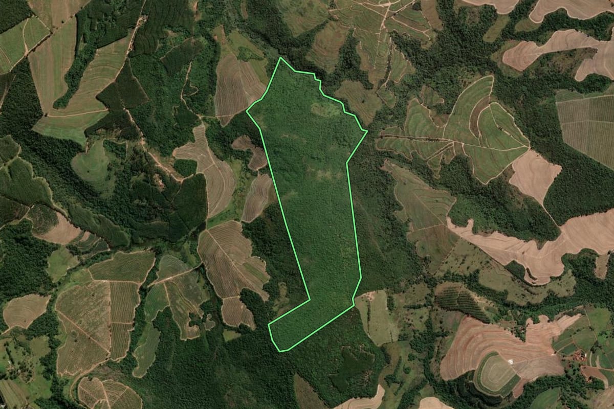 Imagem de satélite do imóvel rural em Tambaú (SP), com o contorno declarado no CAR desenhado por cima.