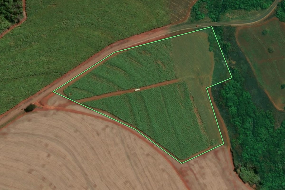 Imagem de satélite do imóvel rural em Tambaú (SP), com o contorno declarado no CAR desenhado por cima.