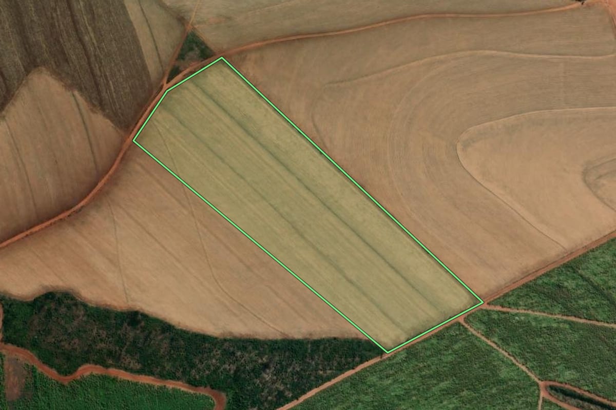 Imagem de satélite do imóvel rural em Tambaú (SP), com o contorno declarado no CAR desenhado por cima.