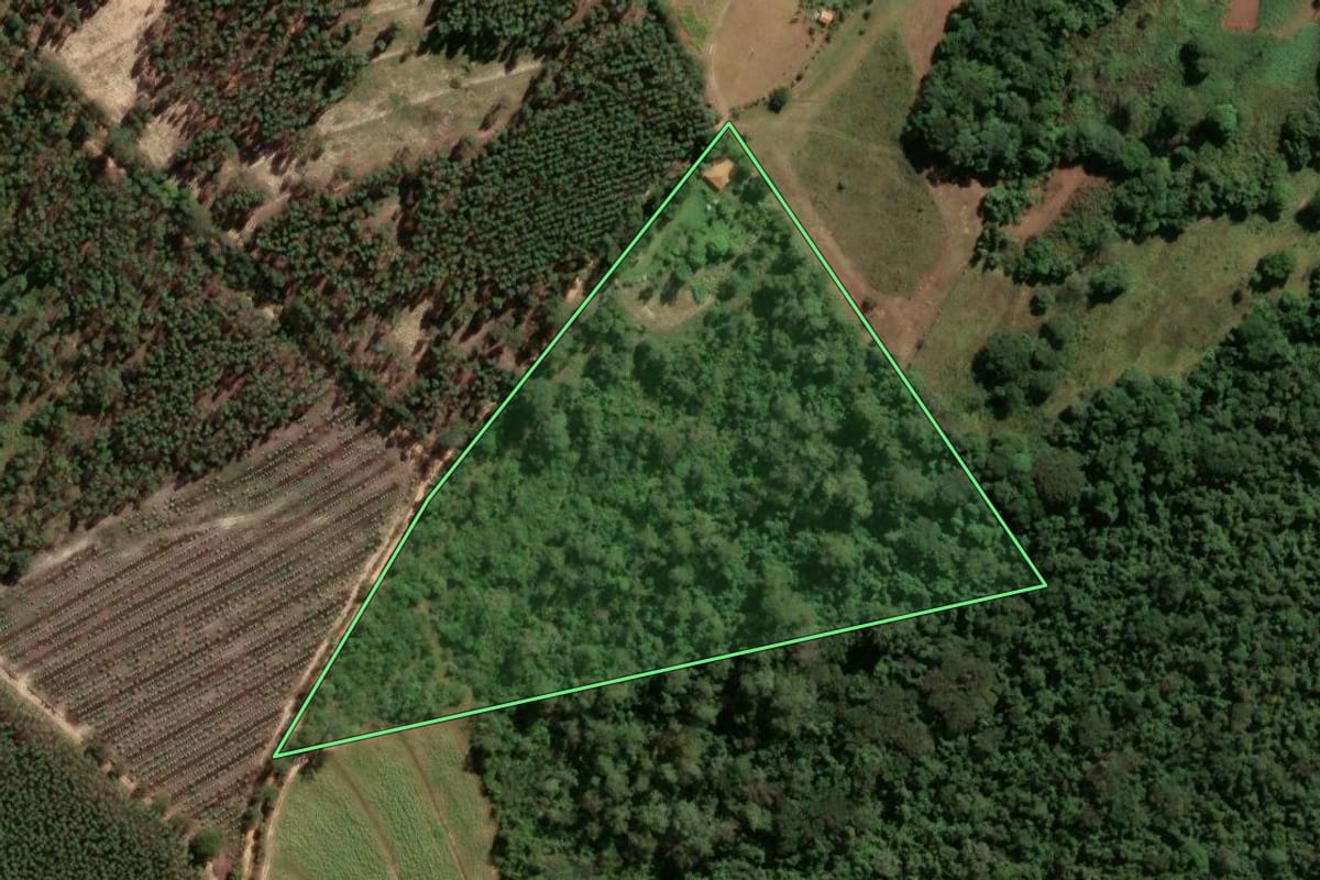 Imagem de satélite do imóvel rural em Tambaú (SP), com o contorno declarado no CAR desenhado por cima.