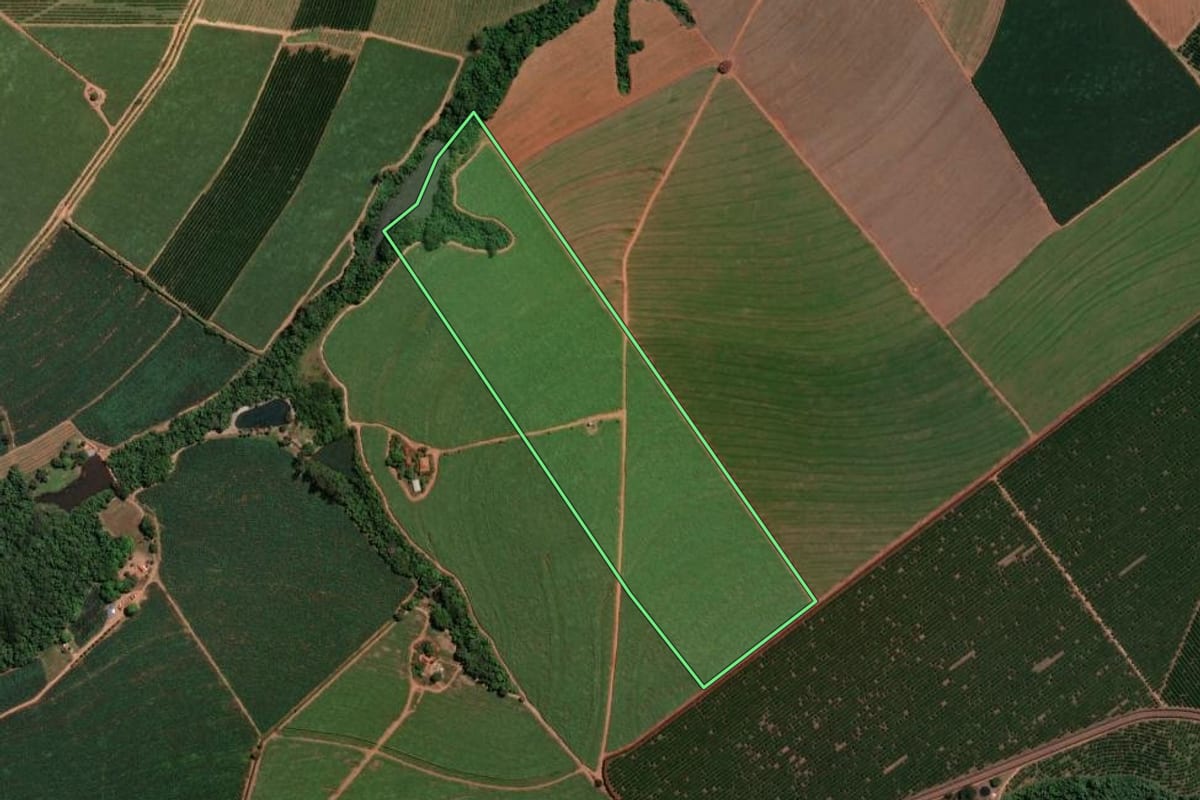 Imagem de satélite do imóvel rural em Tambaú (SP), com o contorno declarado no CAR desenhado por cima.
