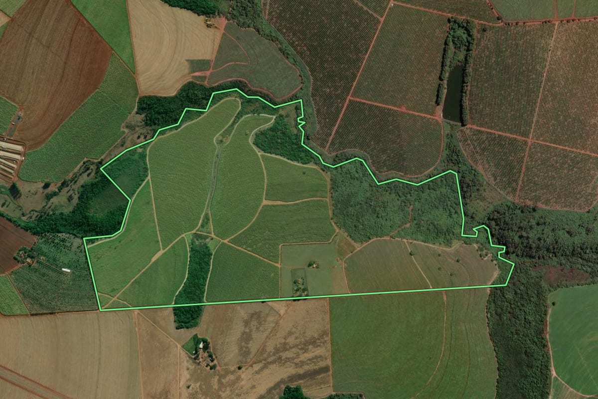 Imagem de satélite do imóvel rural em Tambaú (SP), com o contorno declarado no CAR desenhado por cima.