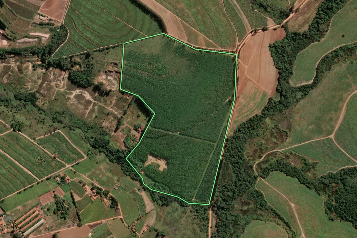 Imagem de satélite do imóvel rural em Tambaú (SP), com o contorno declarado no CAR desenhado por cima.