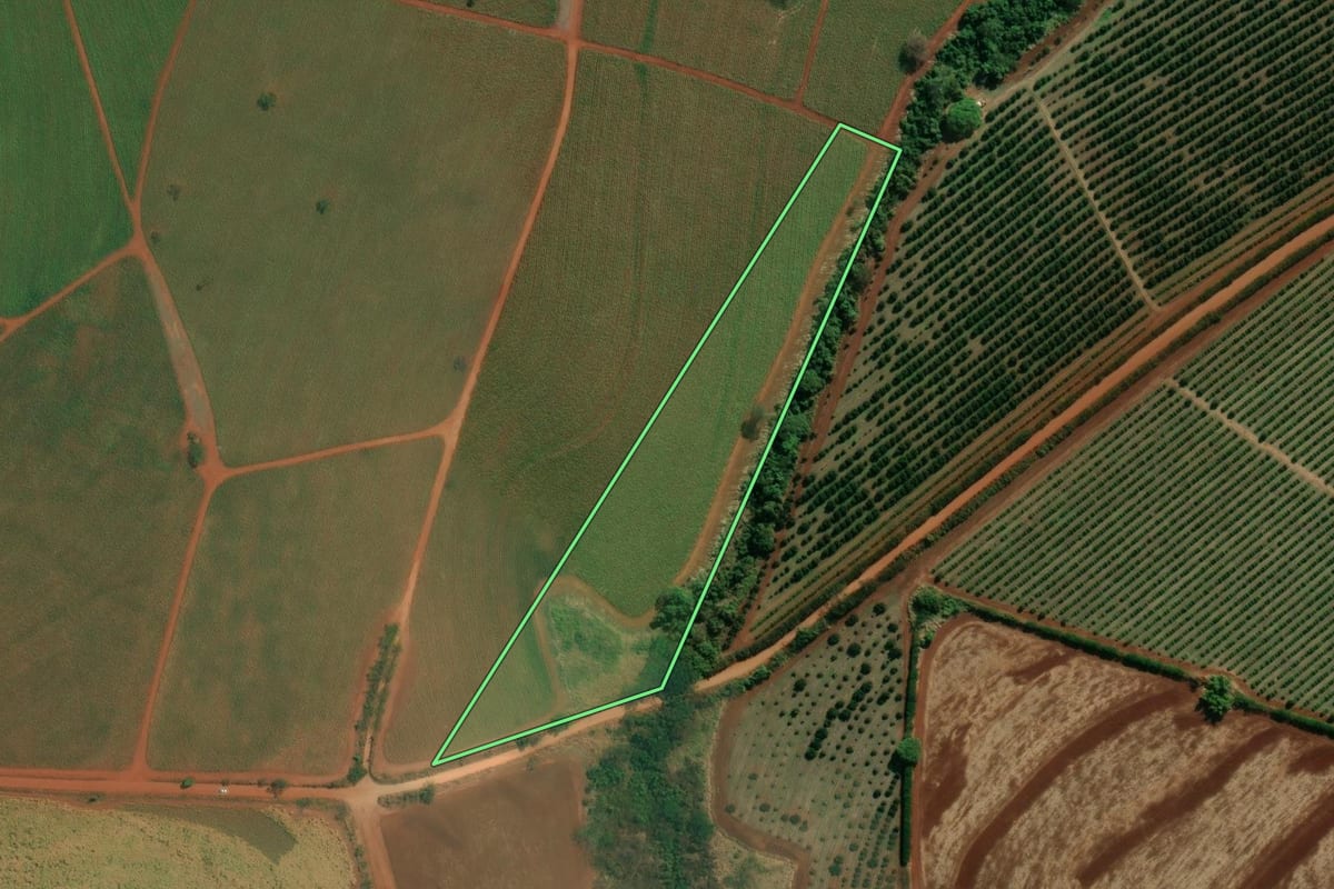 Imagem de satélite do imóvel rural em Tambaú (SP), com o contorno declarado no CAR desenhado por cima.