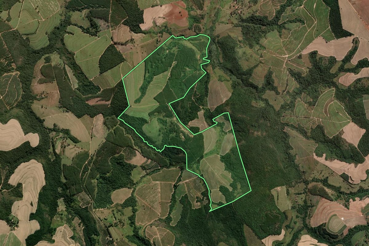 Imagem de satélite do imóvel rural em Tambaú (SP), com o contorno declarado no CAR desenhado por cima.