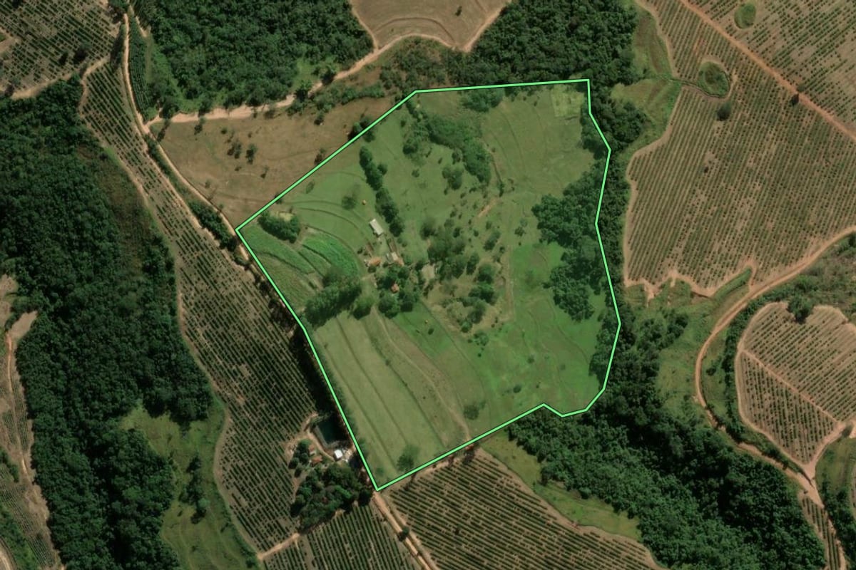 Imagem de satélite do imóvel rural em Tambaú (SP), com o contorno declarado no CAR desenhado por cima.