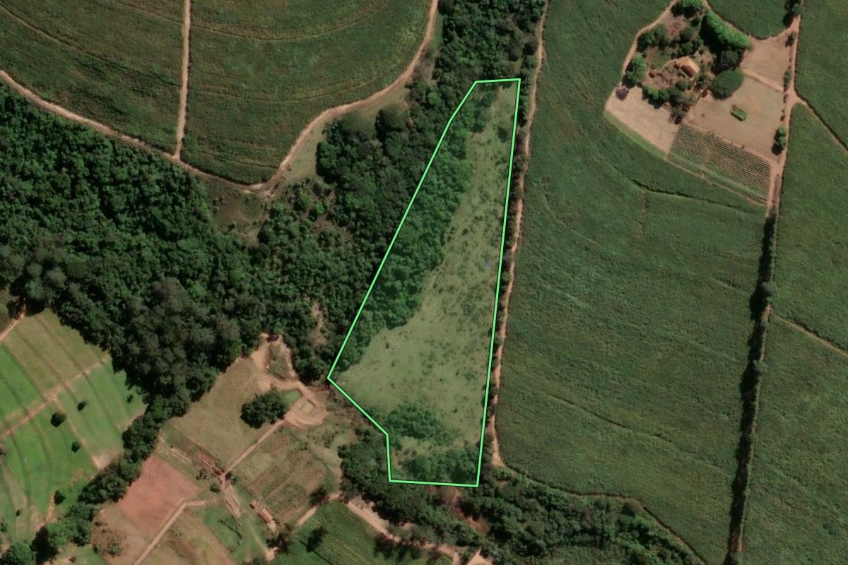 Imagem de satélite do imóvel rural em Tambaú (SP), com o contorno declarado no CAR desenhado por cima.