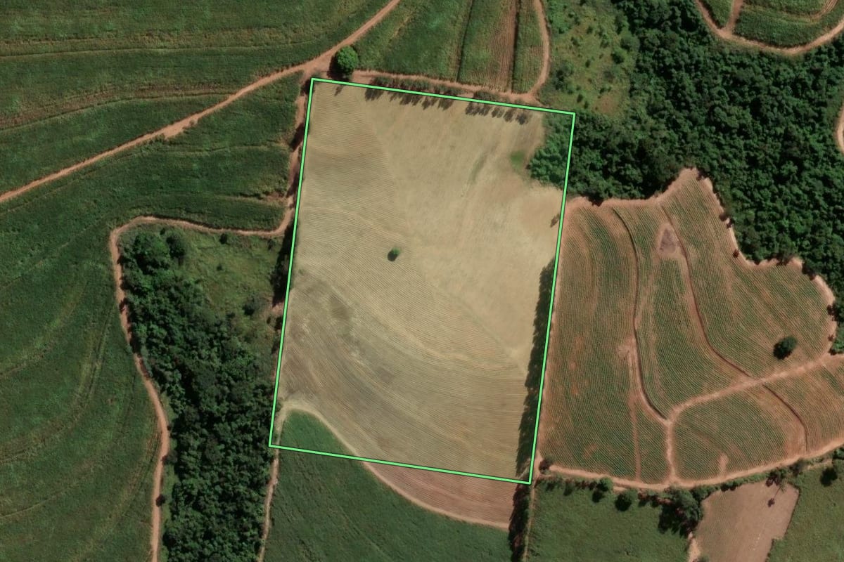 Imagem de satélite do imóvel rural em Tambaú (SP), com o contorno declarado no CAR desenhado por cima.