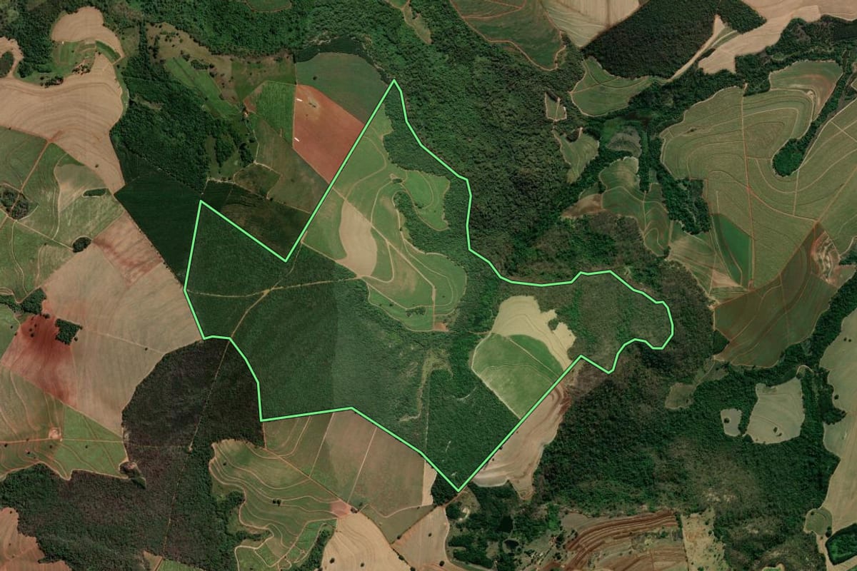Imagem de satélite do imóvel rural em Tambaú (SP), com o contorno declarado no CAR desenhado por cima.