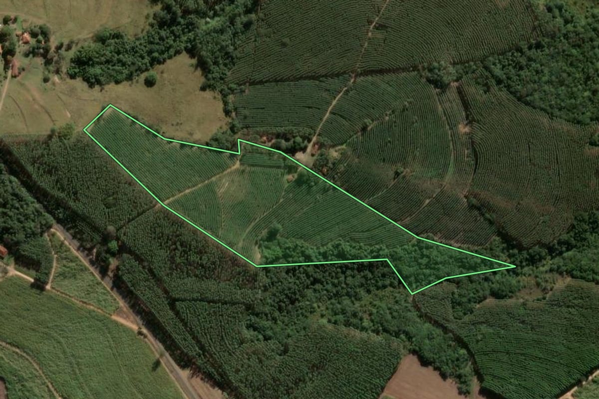 Imagem de satélite do imóvel rural em Tambaú (SP), com o contorno declarado no CAR desenhado por cima.