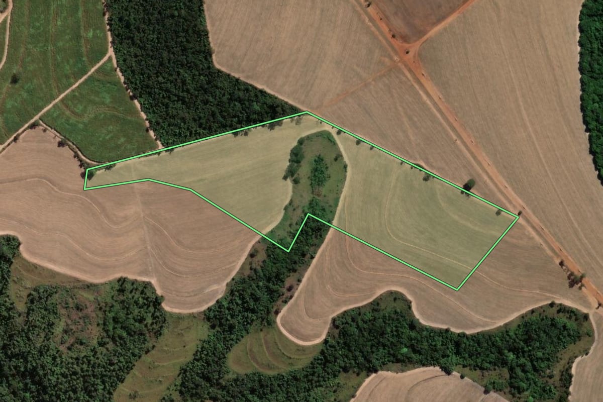 Imagem de satélite do imóvel rural em Tambaú (SP), com o contorno declarado no CAR desenhado por cima.
