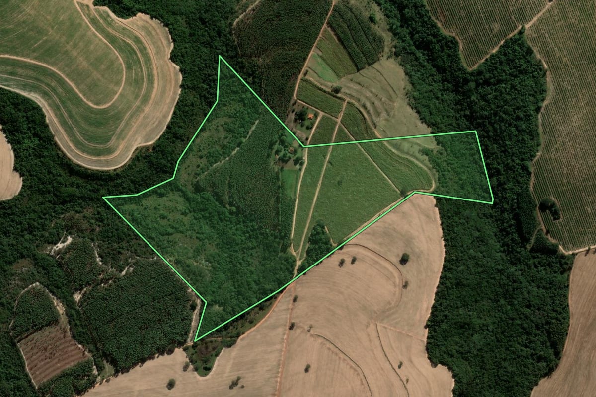 Imagem de satélite do imóvel rural em Tambaú (SP), com o contorno declarado no CAR desenhado por cima.