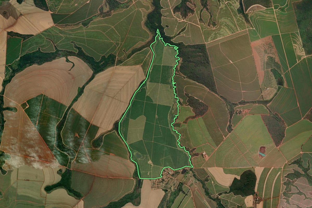 Imagem de satélite do imóvel rural em Tambaú (SP), com o contorno declarado no CAR desenhado por cima.
