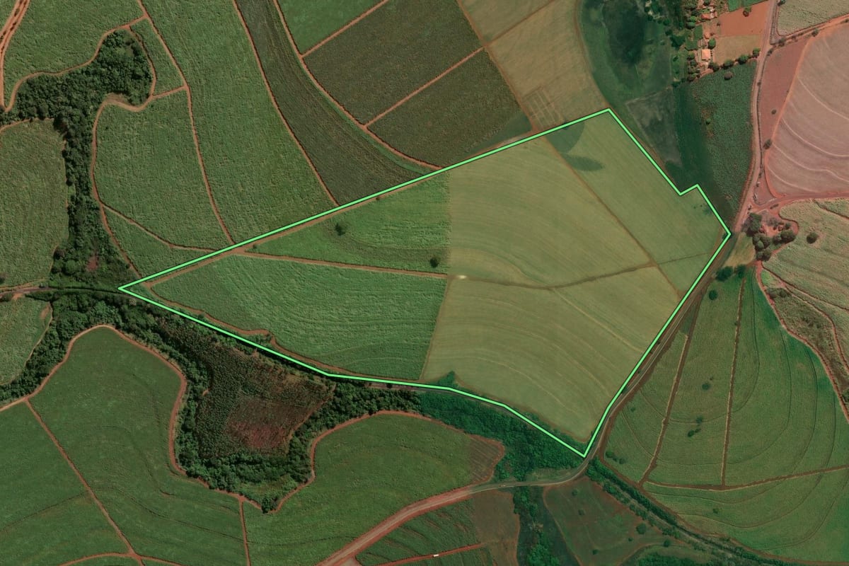 Imagem de satélite do imóvel rural em Tambaú (SP), com o contorno declarado no CAR desenhado por cima.