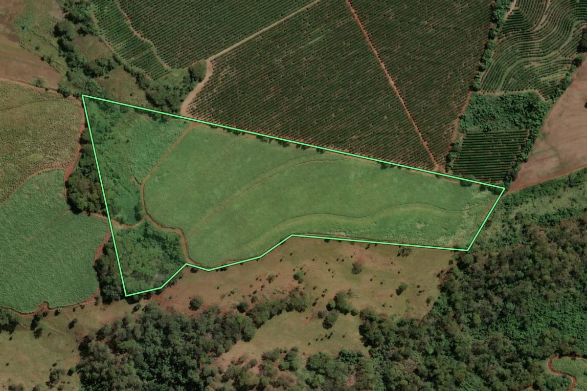 Imagem de satélite do imóvel rural em Tambaú (SP), com o contorno declarado no CAR desenhado por cima.