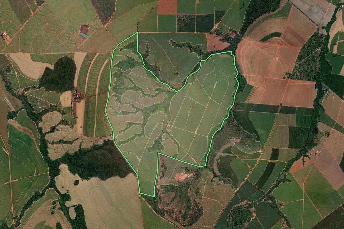 Imagem de satélite do imóvel rural em Tambaú (SP), com o contorno declarado no CAR desenhado por cima.