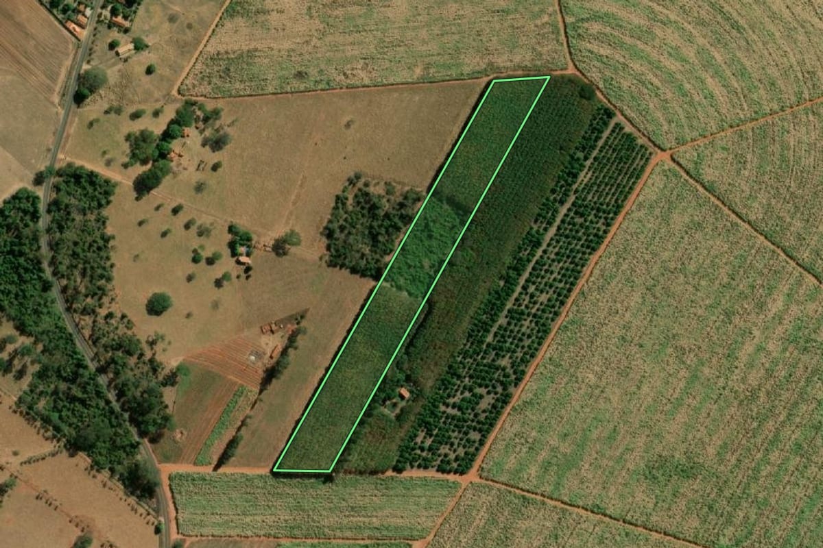 Imagem de satélite do imóvel rural em Tanabi (SP), com o contorno declarado no CAR desenhado por cima.