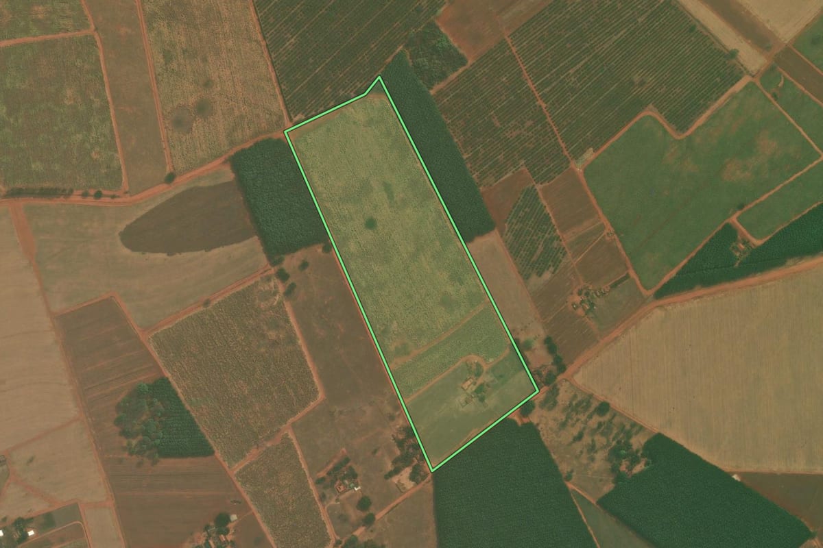 Imagem de satélite do imóvel rural em Tanabi (SP), com o contorno declarado no CAR desenhado por cima.