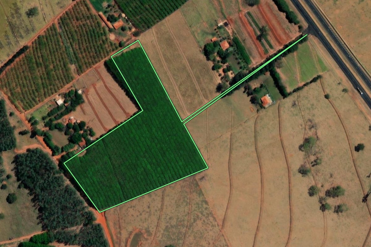 Imagem de satélite do imóvel rural em Tanabi (SP), com o contorno declarado no CAR desenhado por cima.