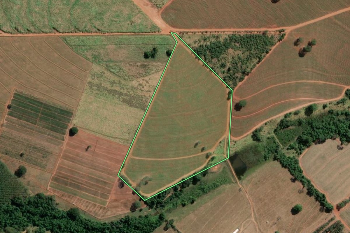 Imagem de satélite do imóvel rural em Tanabi (SP), com o contorno declarado no CAR desenhado por cima.