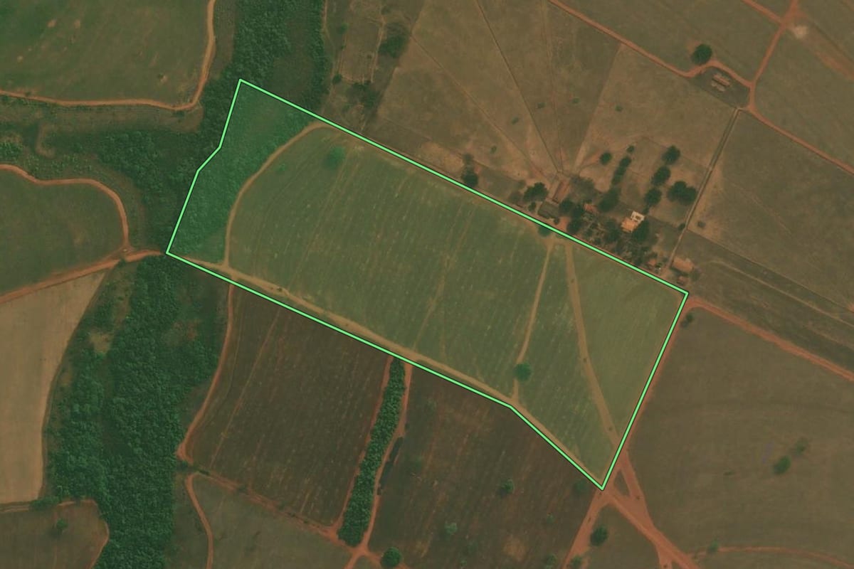 Imagem de satélite do imóvel rural em Tanabi (SP), com o contorno declarado no CAR desenhado por cima.