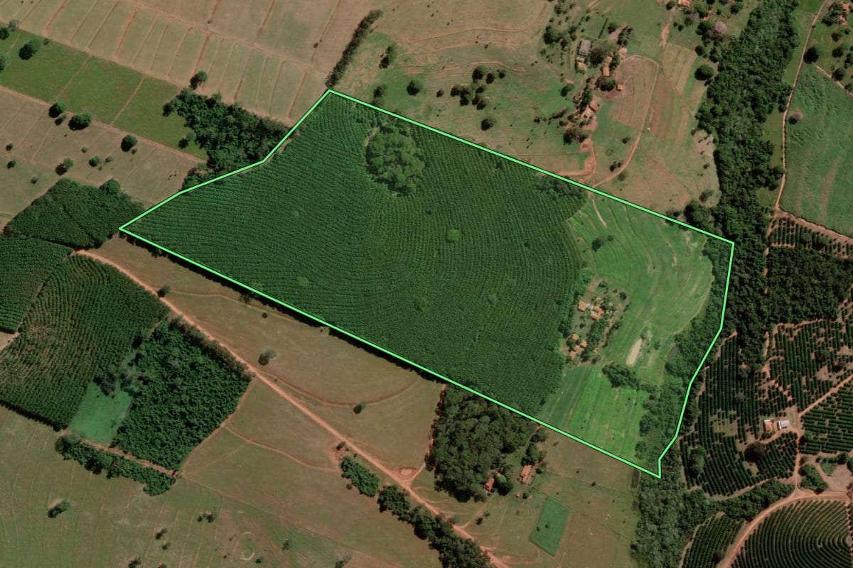 Imagem de satélite do imóvel rural em Tanabi (SP), com o contorno declarado no CAR desenhado por cima.
