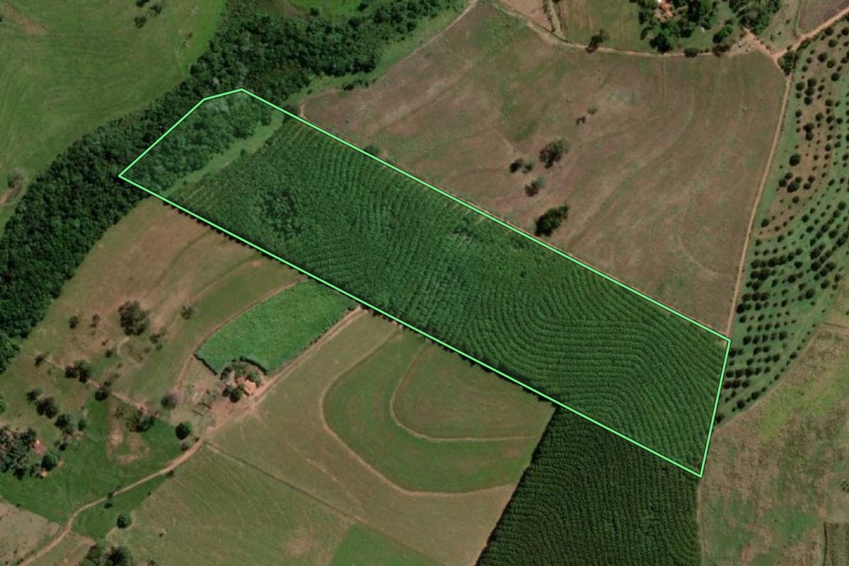 Imagem de satélite do imóvel rural em Tanabi (SP), com o contorno declarado no CAR desenhado por cima.