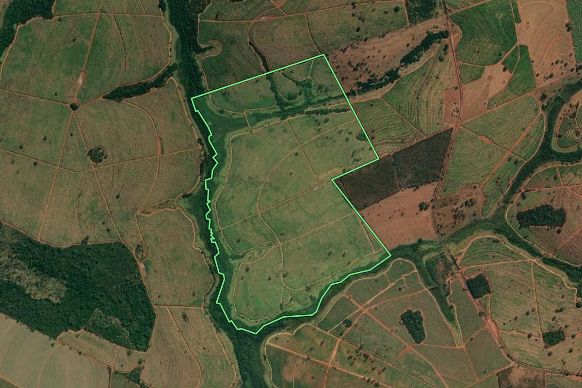 Imagem de satélite do imóvel rural em Tanabi (SP), com o contorno declarado no CAR desenhado por cima.