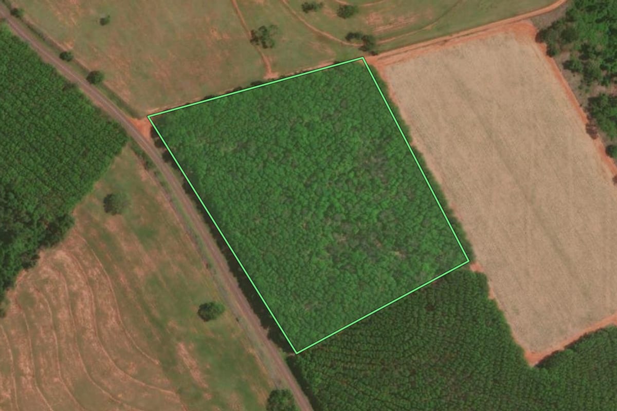Imagem de satélite do imóvel rural em Tanabi (SP), com o contorno declarado no CAR desenhado por cima.