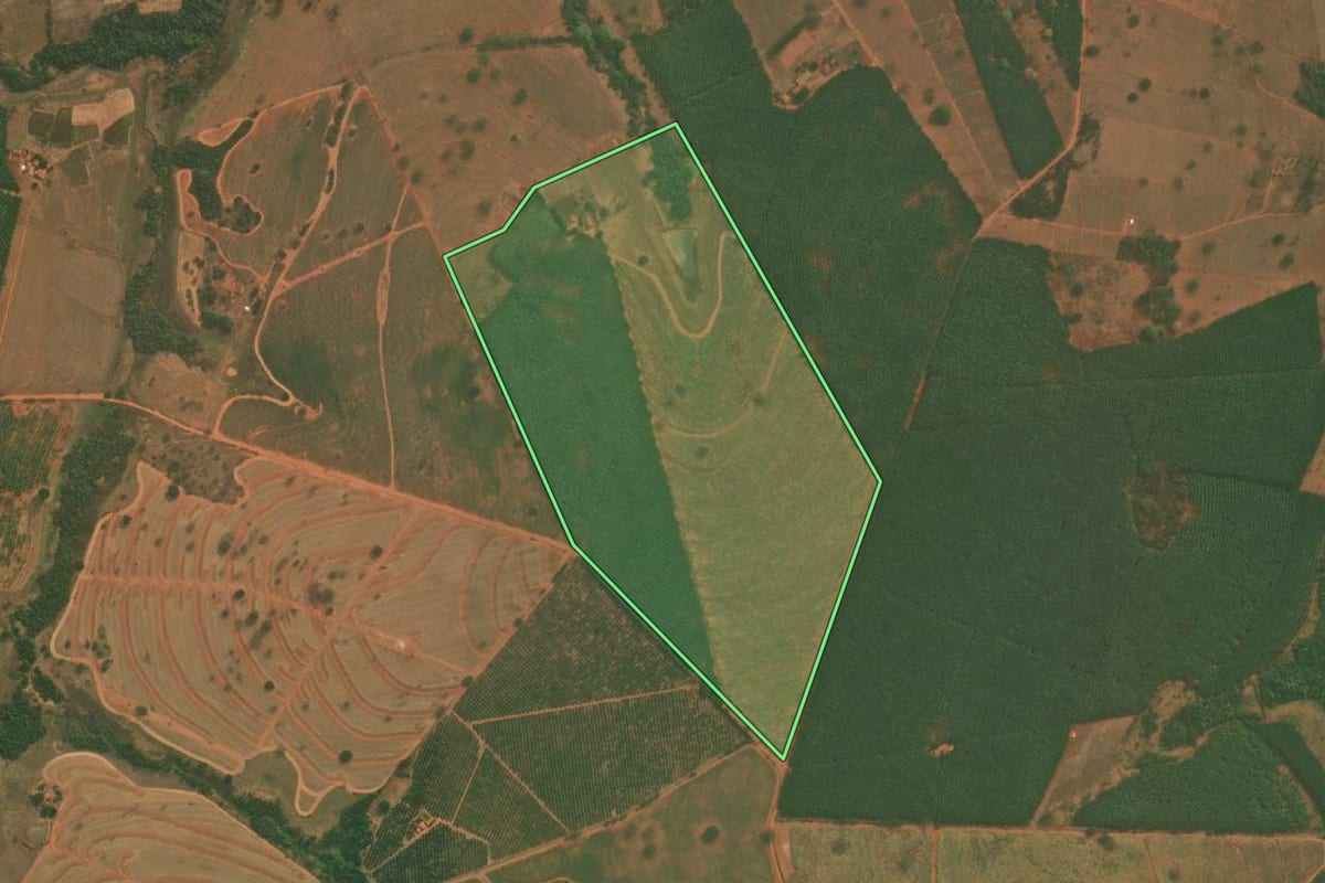 Imagem de satélite do imóvel rural em Tanabi (SP), com o contorno declarado no CAR desenhado por cima.