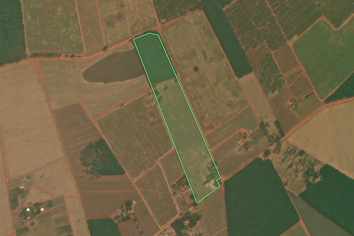Imagem de satélite do imóvel rural em Tanabi (SP), com o contorno declarado no CAR desenhado por cima.
