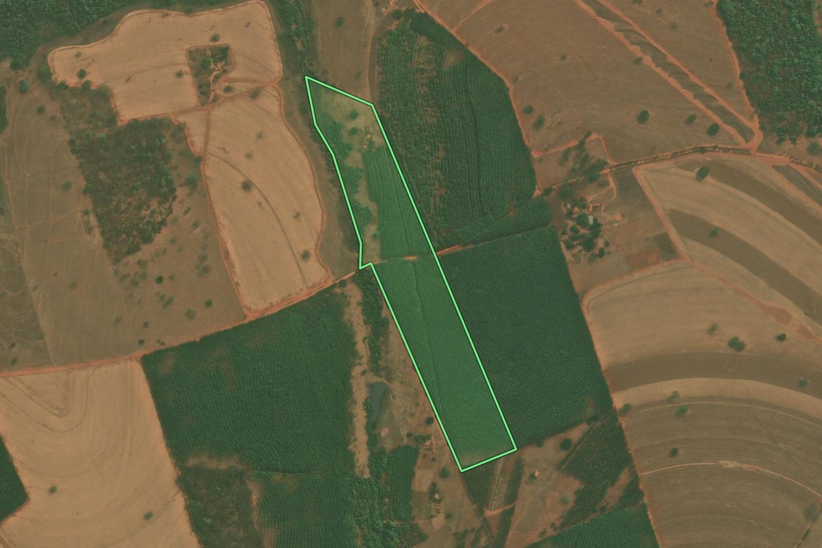 Imagem de satélite do imóvel rural em Tanabi (SP), com o contorno declarado no CAR desenhado por cima.