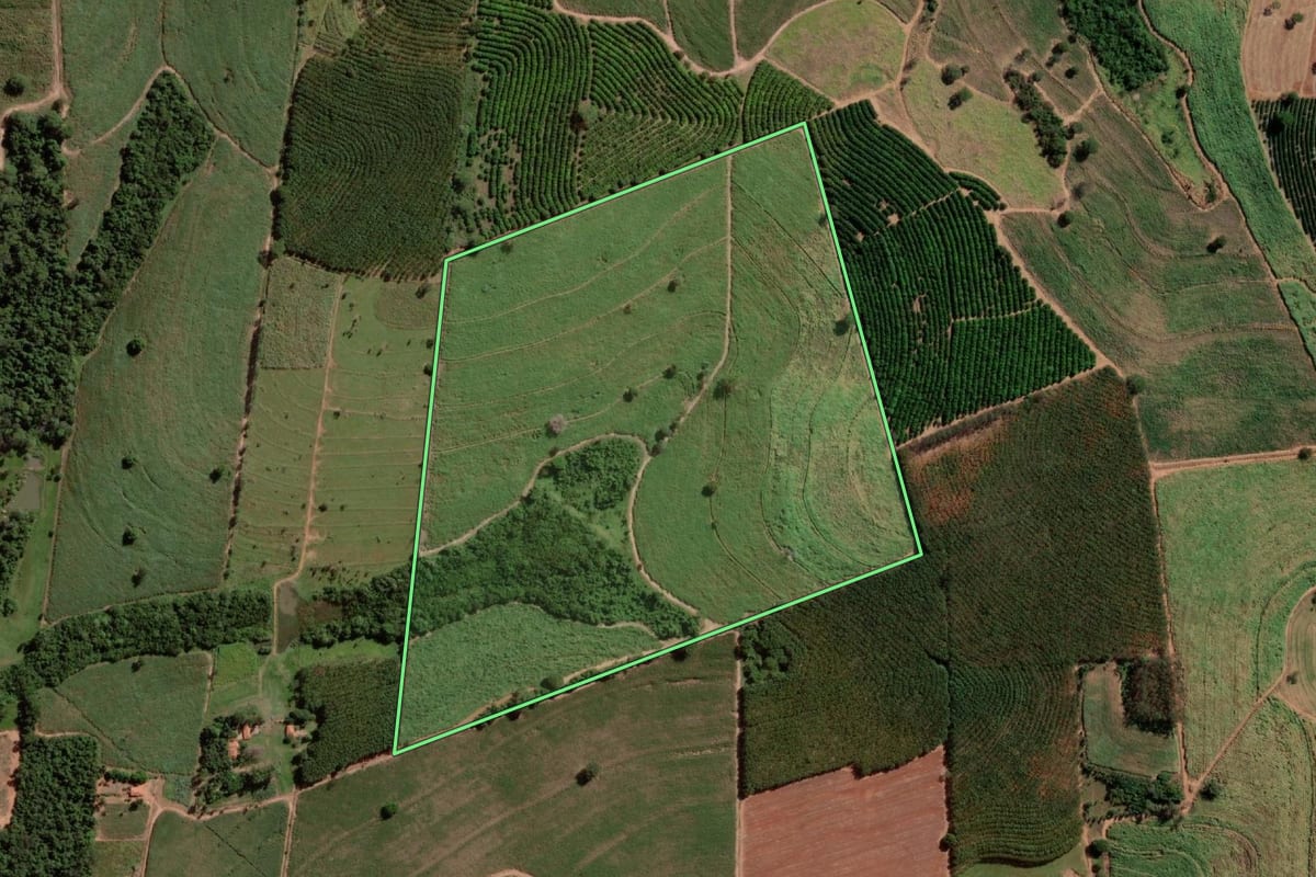 Imagem de satélite do imóvel rural em Tanabi (SP), com o contorno declarado no CAR desenhado por cima.