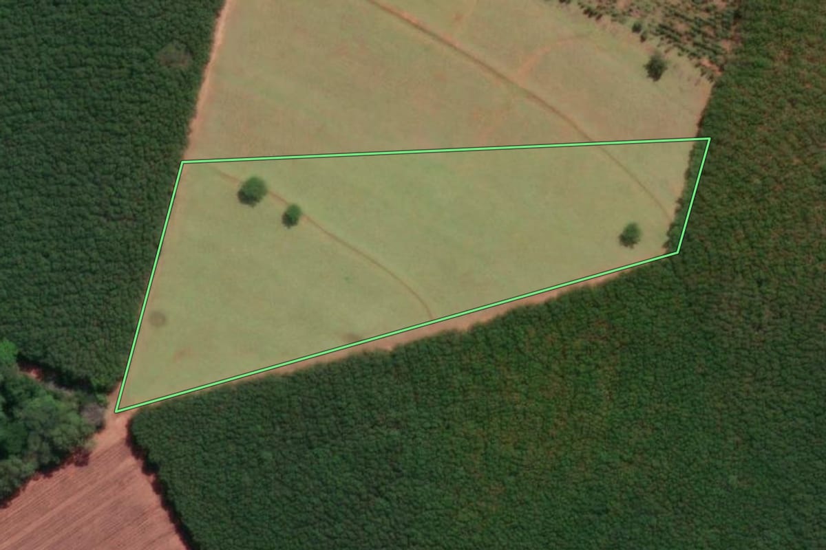 Imagem de satélite do imóvel rural em Tanabi (SP), com o contorno declarado no CAR desenhado por cima.