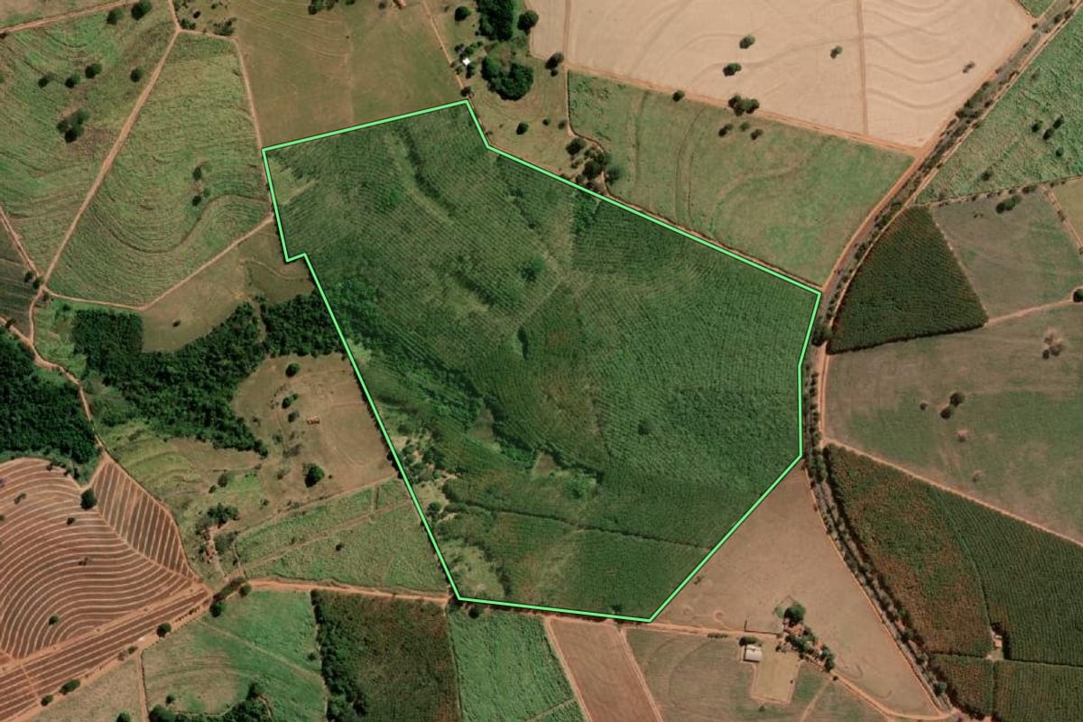 Imagem de satélite do imóvel rural em Tanabi (SP), com o contorno declarado no CAR desenhado por cima.