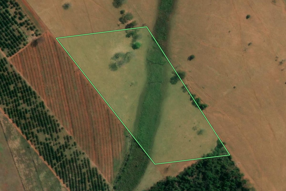 Imagem de satélite do imóvel rural em Tanabi (SP), com o contorno declarado no CAR desenhado por cima.