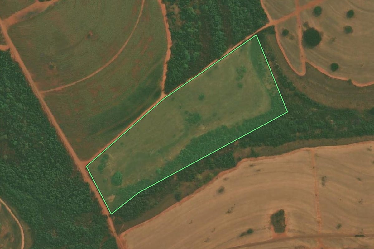 Imagem de satélite do imóvel rural em Tanabi (SP), com o contorno declarado no CAR desenhado por cima.