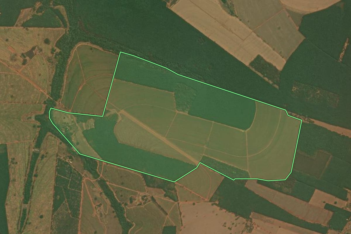 Imagem de satélite do imóvel rural em Tanabi (SP), com o contorno declarado no CAR desenhado por cima.